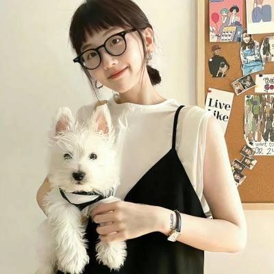 小莫莉大冒险排行榜封面