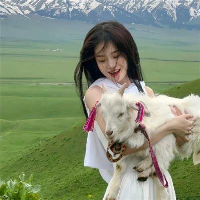 护花特警免费在线观看封面