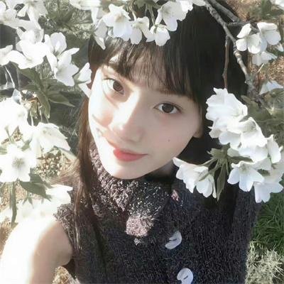 万岁免费在线观看封面